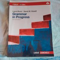 Grammar in Progress (grammatica inglese) (liceo)