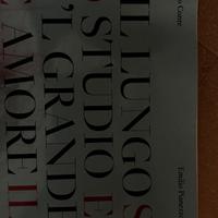 Libro Il Lungo studio e il grande amore