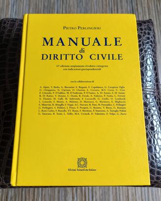 Manuale di DIRITTO CIVILE 