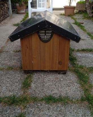 Casetta cane