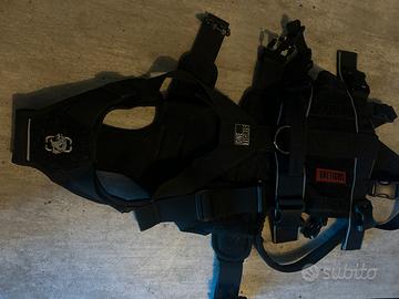 Imbragatura cani anziani con problema zampe