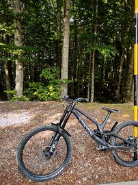 Canyon Sender CFR Mallet 2025