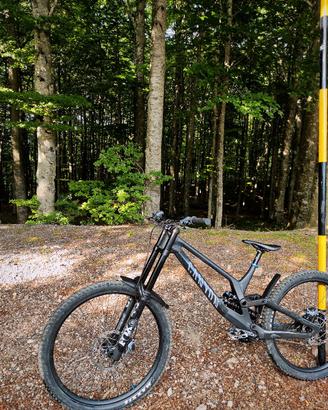 Canyon Sender CFR Mallet 2025