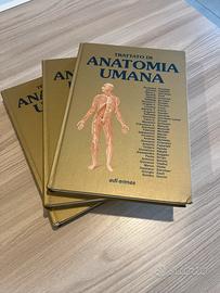 Trattato di Anatomia Umana – Anastasi 4ª edizione