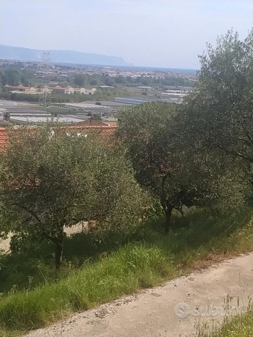 Terreni agricoli - Vista 2