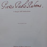 Paolo rubens disegni dell'ambrosiana 1975