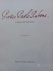 Paolo rubens disegni dell'ambrosiana 1975