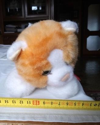 Splendidi peluche gatti maculati Trudi