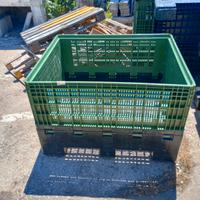 cassette per raccolta 