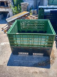 cassette per raccolta 