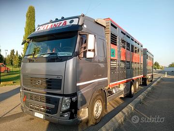 Volvo fh 500 trasporto bestiame (SOLO MOTRICE)