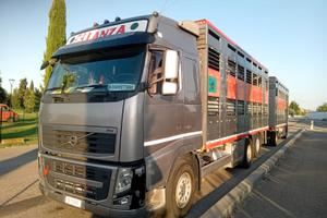 Volvo fh 500 trasporto bestiame (SOLO MOTRICE)