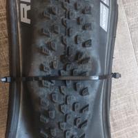 Schwalbe Racing ray