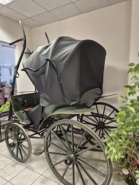 carrozza 