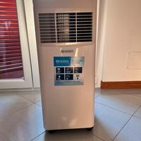 Pinguino Climatizzatore/Deumidificatore