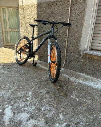 Bici rockrider