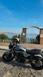 Kawasaki Z 650 RS - 2025