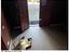 Immagine 22