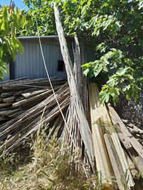 Trave in ginepro, UNICO esemplare