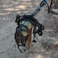 Accessori per animali