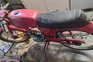 legnano t 113