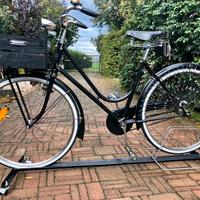 Bianchi celeste