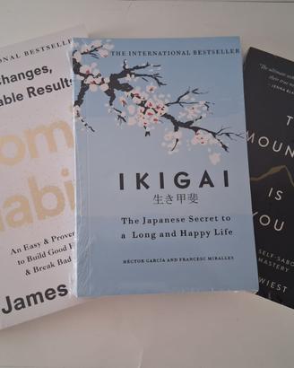 Ikigai/Atomic Habits /The Mountain Is You