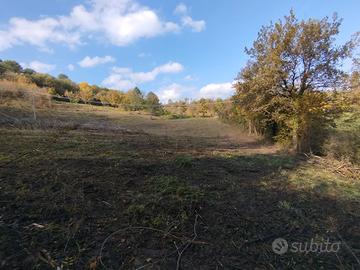 Terreno agricolo