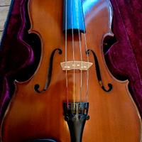 Viola roling's