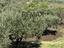 Immagine 22