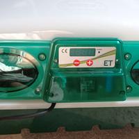 Incubatrice river systems