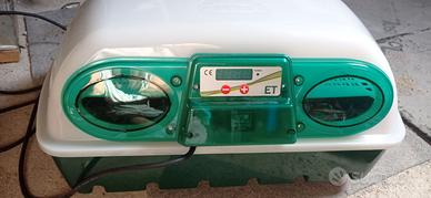 Incubatrice river systems