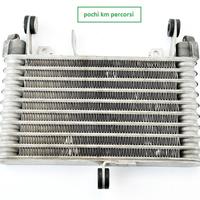 YAMAHA MT 10 15 17 radiatore olio