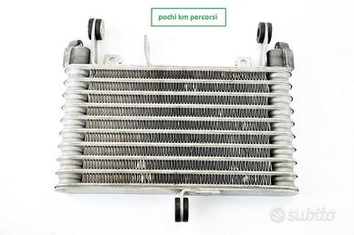 YAMAHA MT 10 15 17 radiatore olio