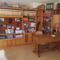 Libreria in radica di noce