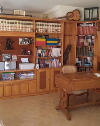 Libreria in radica di noce