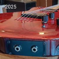 Godin LGX chitarra elettrica duplex tre jack