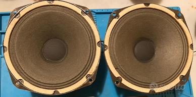 Coppia woofer da 20 cm
