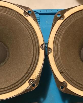 Coppia woofer da 20 cm