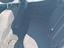 Immagine 22