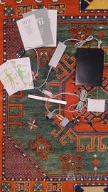 Nintendo Wii