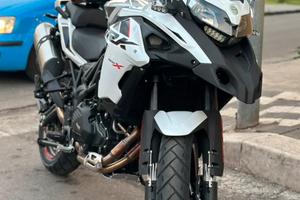 Benelli trk 502x 2024
