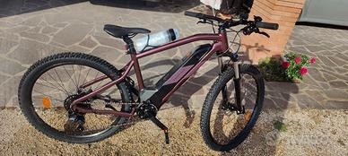 Bicicletta