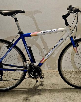  Bicicletta marca Grandis