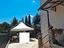 Immagine 5