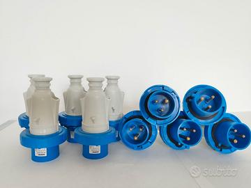Spine GEWISS