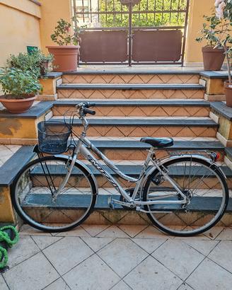 Bicicletta graziella