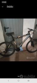 MTB olmo 