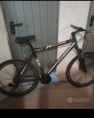 MTB olmo 