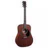 martin-d-10e-sapele